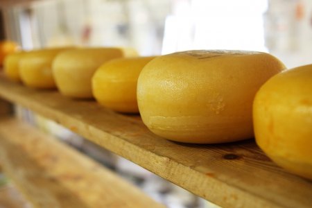 В Петербург не пропустили две тонны сербского сыра