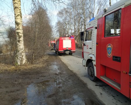 В Пушкинском районе Петербурга, в поселке Тярлево ликвидирован крупный пожар