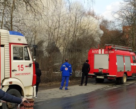 В Петербурге на переулке Макаренко ликвидирован пожар