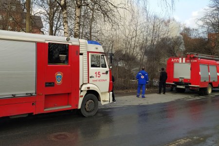 пожар в Красном Селе, фото: Максим Константинов, P1spb.ru
