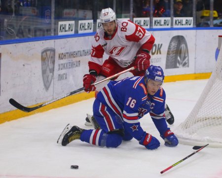 Сергей Плотников в матче против